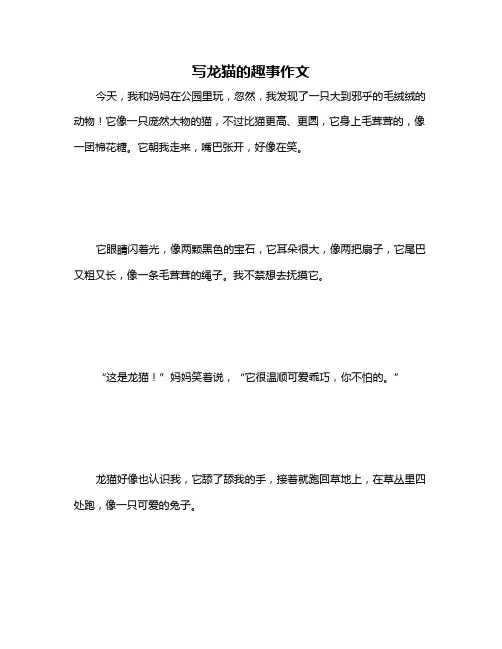 写龙猫的趣事作文