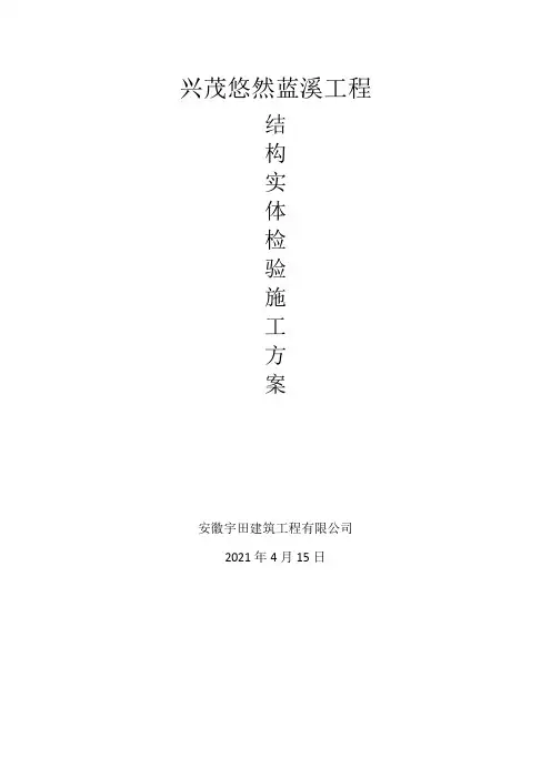 结构实体检验专项方案