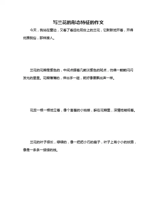 写兰花的形态特征的作文