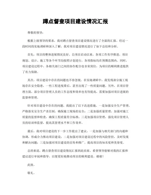 蹲点督查项目建设情况汇报