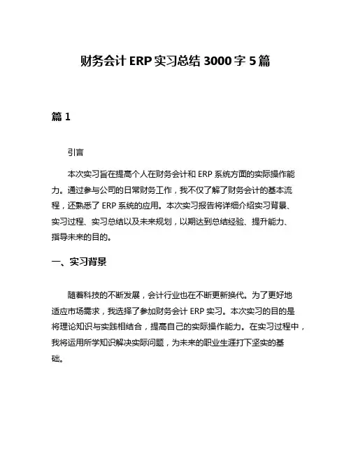 财务会计ERP实习总结3000字5篇