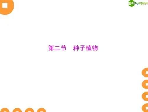种子植物《随堂训练》