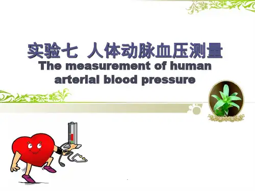 人体动脉血压的测量PPT课件