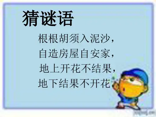 落花生课件2