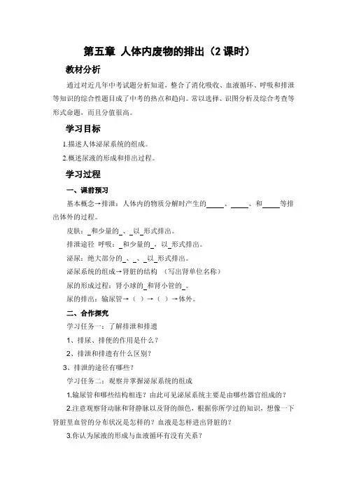 七年级生物下册第五章人体内废物的排出