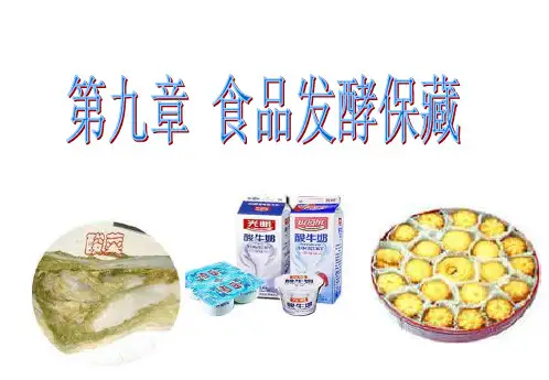 食品发酵保藏