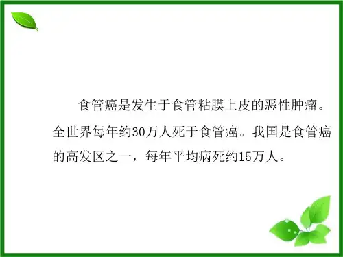 食管癌新资料PPT课件.ppt