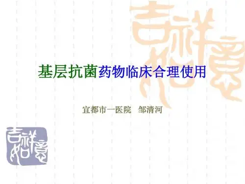 湖北省基本药物临床使用指南