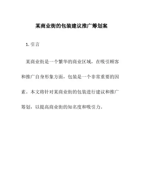 某商业街的包装建议推广策划案