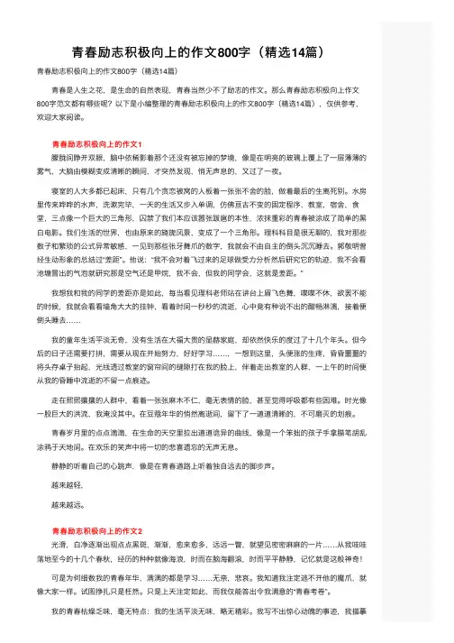 青春励志积极向上的作文800字（精选14篇）