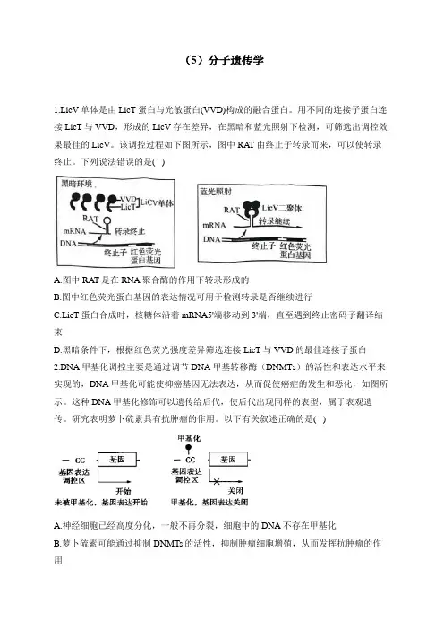 2024届高考生物一轮复习专项练习(5)分子遗传学