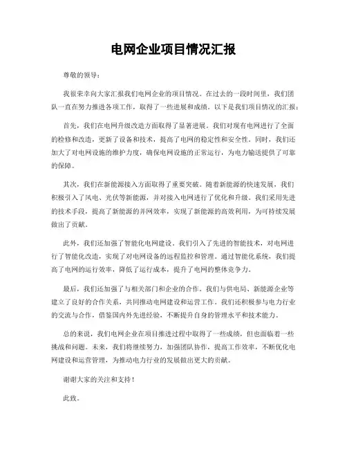 电网企业项目情况汇报