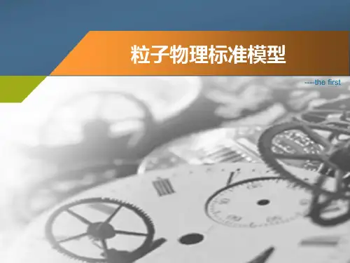 粒子物理标准模型要点