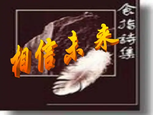 相信未来ppt