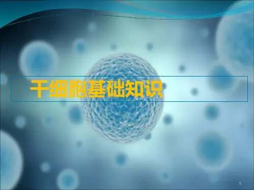 干细胞ppt课件