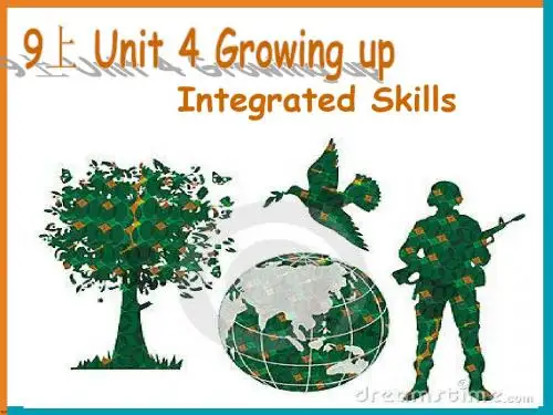 牛津译林英语 九年级上册Unit4Integrated skills(共30张PPT)