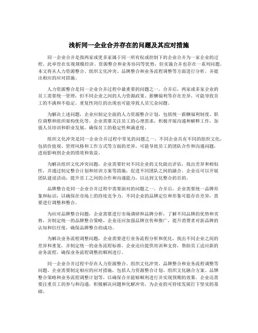 浅析同一企业合并存在的问题及其应对措施