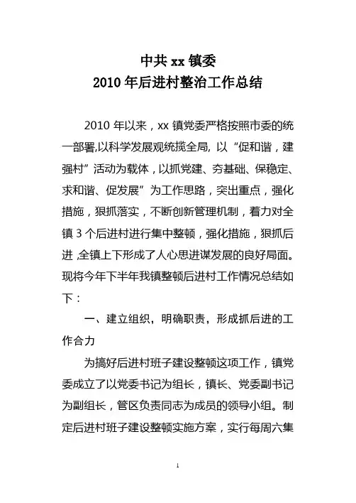 2010年后进村整治工作总结