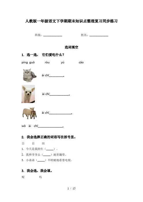 人教版一年级语文下学期期末知识点整理复习同步练习