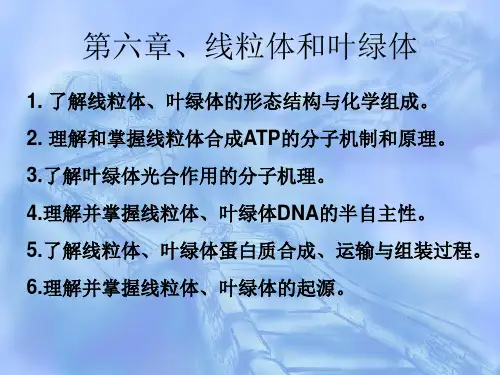 细胞生物学第六章 线粒体和叶绿体