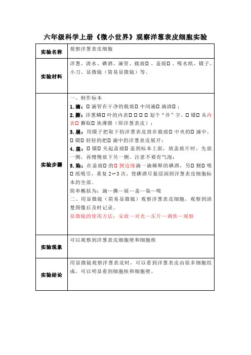 六年级科学上册《微小世界》观察洋葱表皮细胞实验