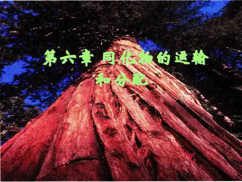 第六章 同化物的运输、分配