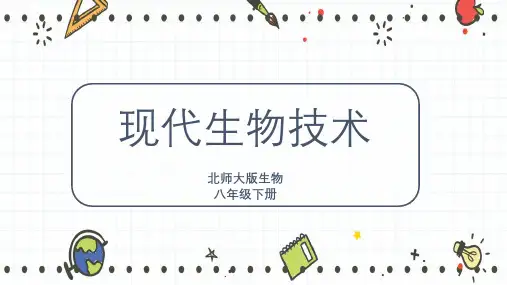 2022-2023学年北师大版生物八下 25-2现代生物技术-课件