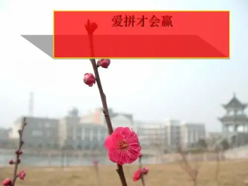 爱拼才会赢——策划成功 PPT课件