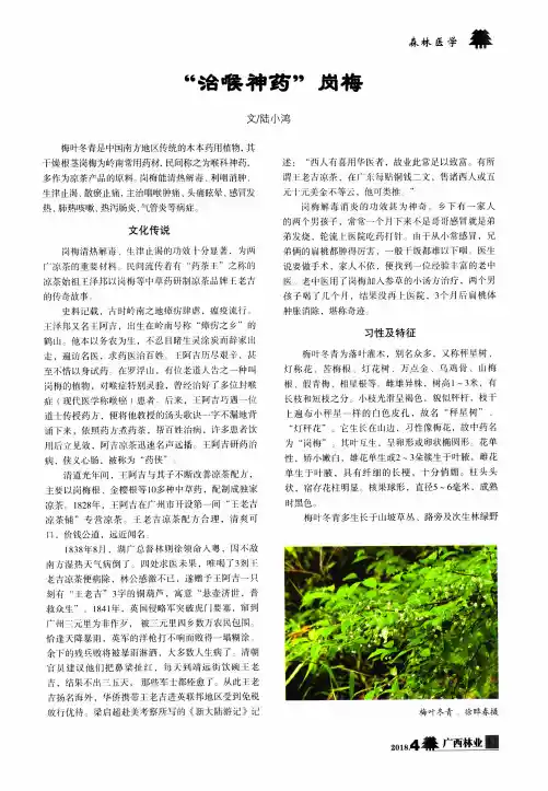 “治喉神药”岗梅