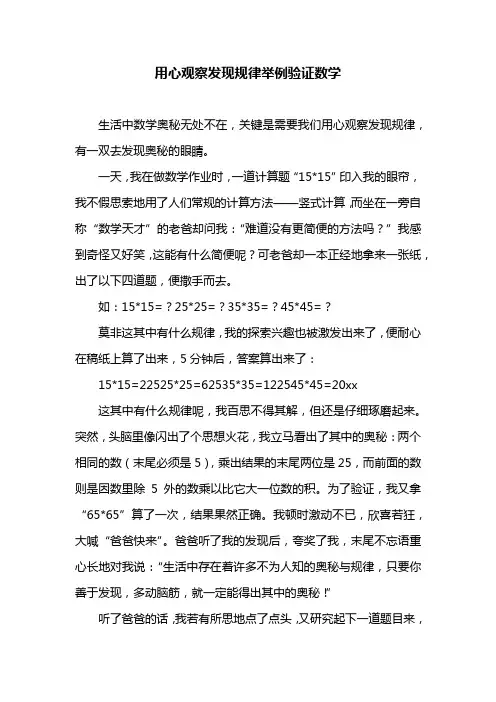 用心观察发现规律举例验证数学