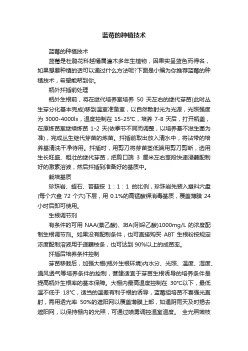 蓝莓的种植技术
