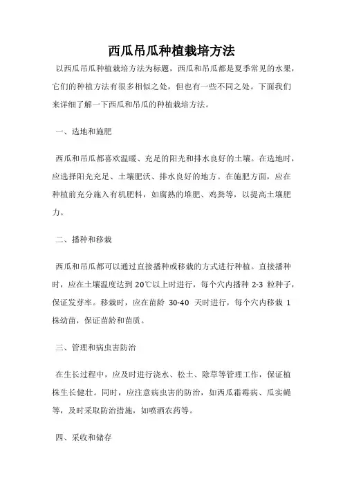 西瓜吊瓜种植栽培方法