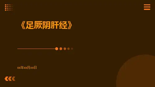 足厥阴肝经