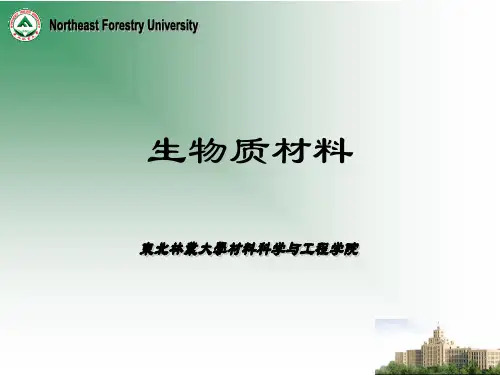 第三章-木质素