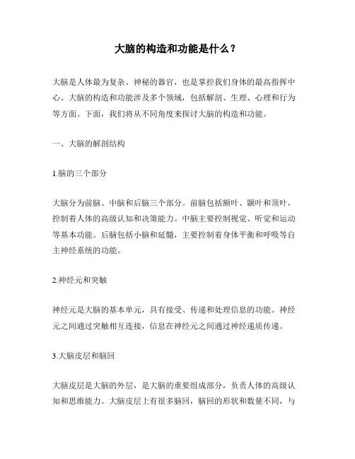 大脑的构造和功能是什么？