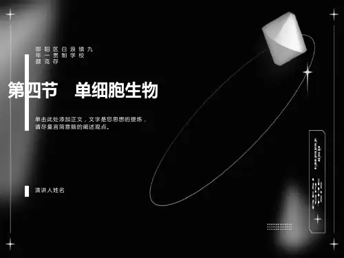 单细胞生物教学课件