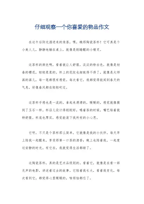 仔细观察一个你喜爱的物品作文