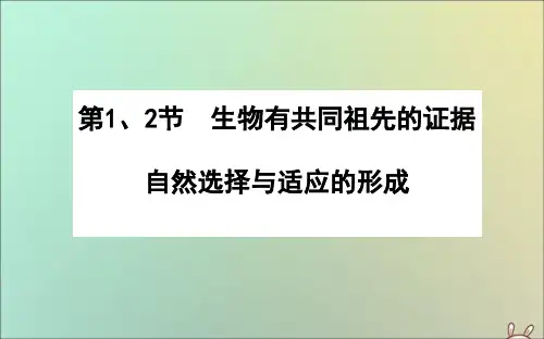 2020新教材高中生物 第6章 生物的进化 6.1 生物有共同祖先的证据 6.2 自然选择与适应的形