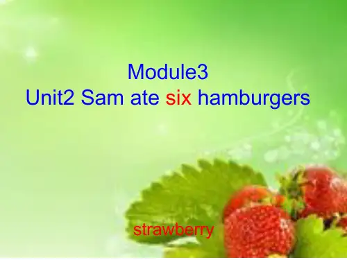 五下M3Unit2_Sam_ate_six_hamburgers_3.