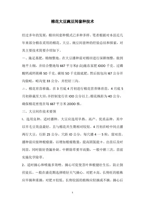 棉花大豆豌豆间套种技术