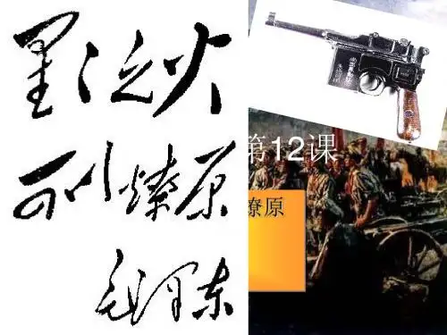 星星之火,可以燎原PPT课件16