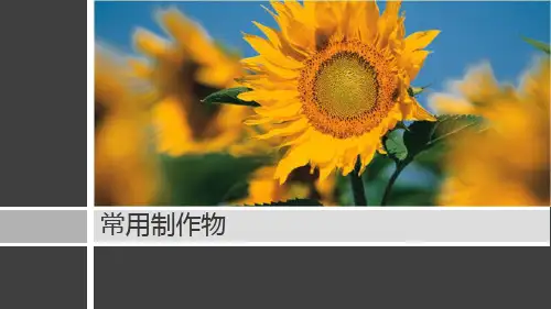 常用广告物料简介