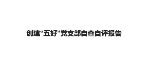 创建“五好”党支部自查自评报告