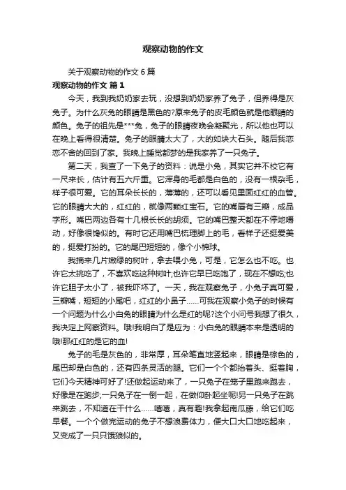 关于观察动物的作文6篇