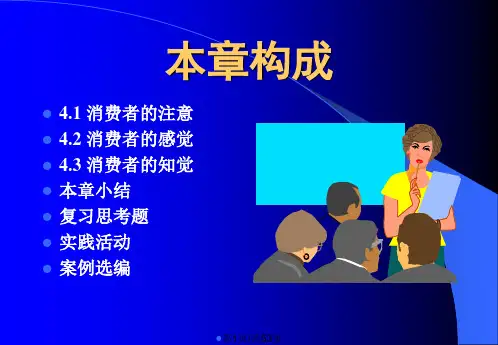 消费者注意感觉与知觉