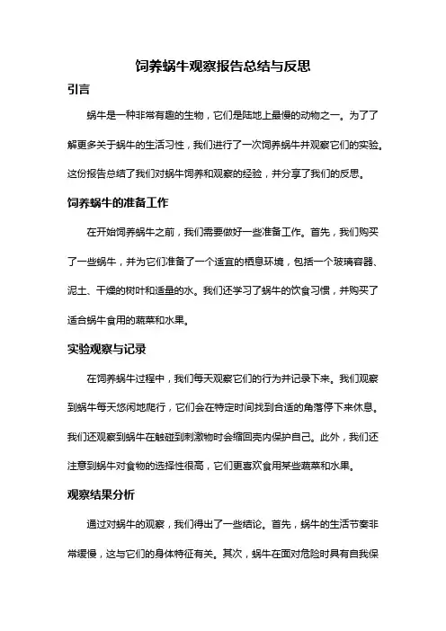 饲养蜗牛观察报告总结与反思