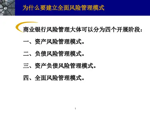 商业银行全面风险管理与公司治理