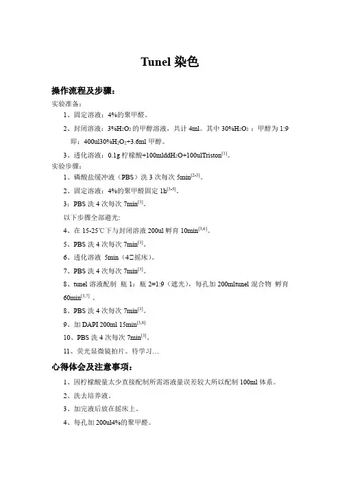 Tunel染色实验-检测细胞凋亡