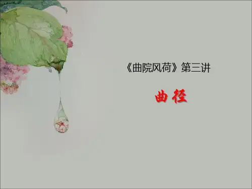 朱良志《曲院风荷》第三讲--曲径
