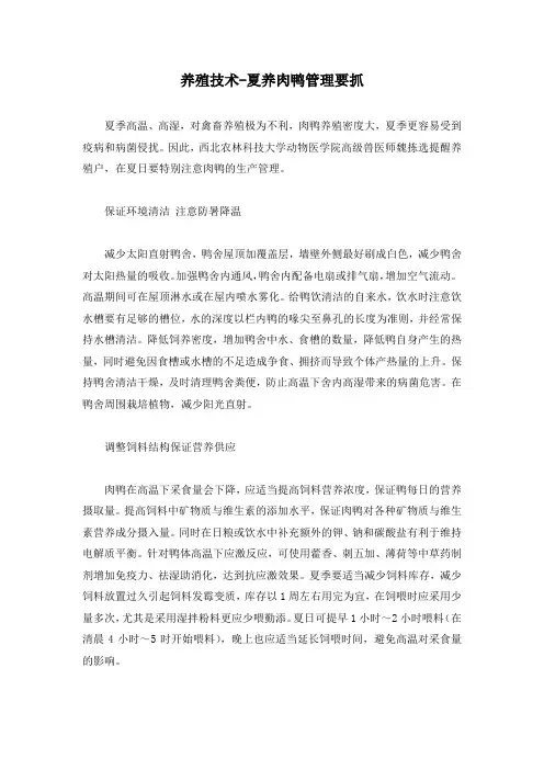 养殖技术-夏养肉鸭管理要抓